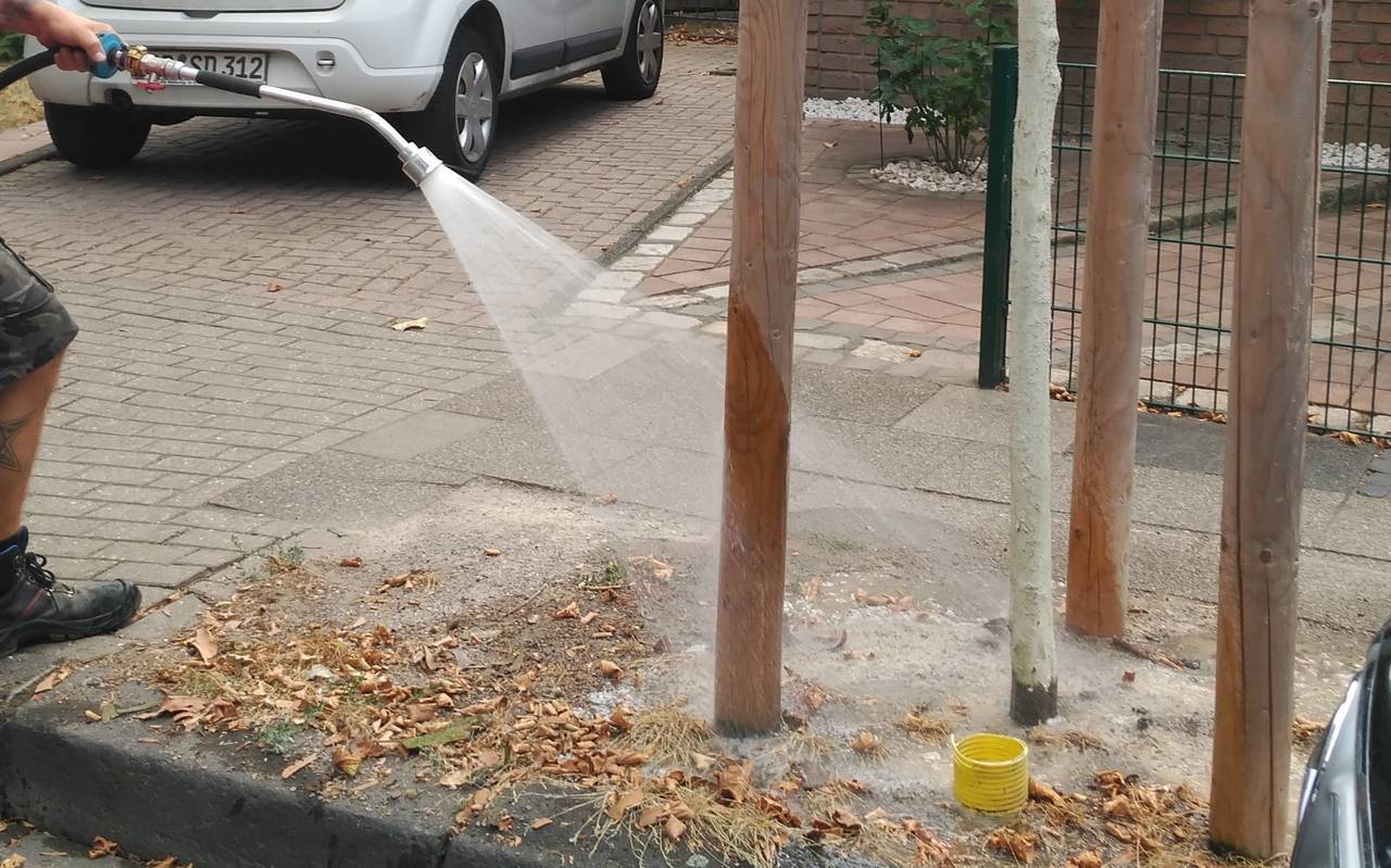 OGM gießt Bäume in OB;