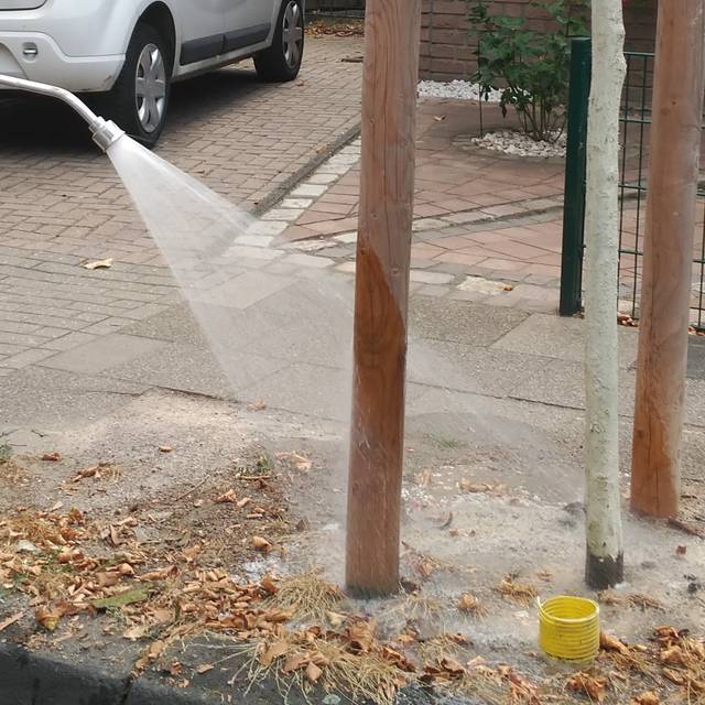 OGM gießt Bäume in OB;