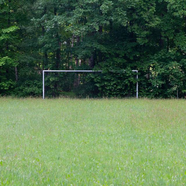 Fußball Fußballplatz Bolzplatz Rasen Geisterspiel zugewachsen verlassen