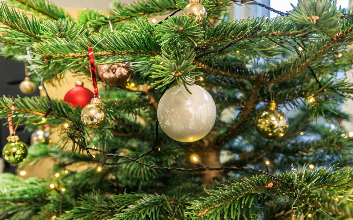 Ein geschmückter Weihnachtsbaum steht in einem offenen Raum. Der Baum wird in Nahaufnahme gezeigt