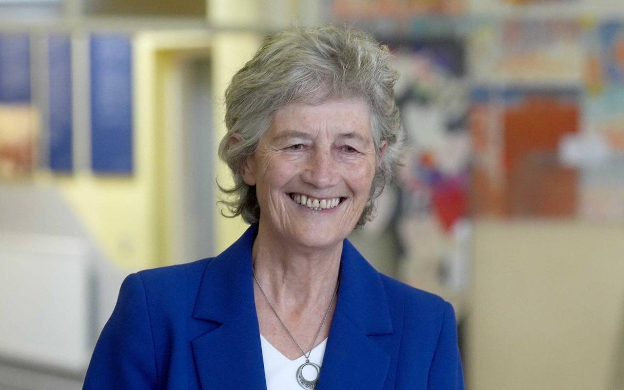 Präsidentschaftswahl in Irland