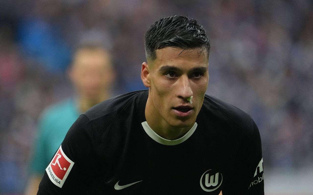 Hamburger SV - VfL Wolfsburg