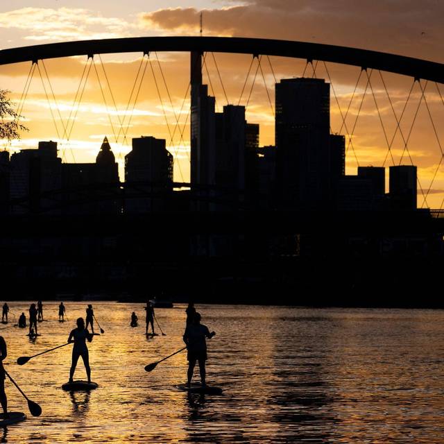 Stand-Up-Paddling auf dem Main