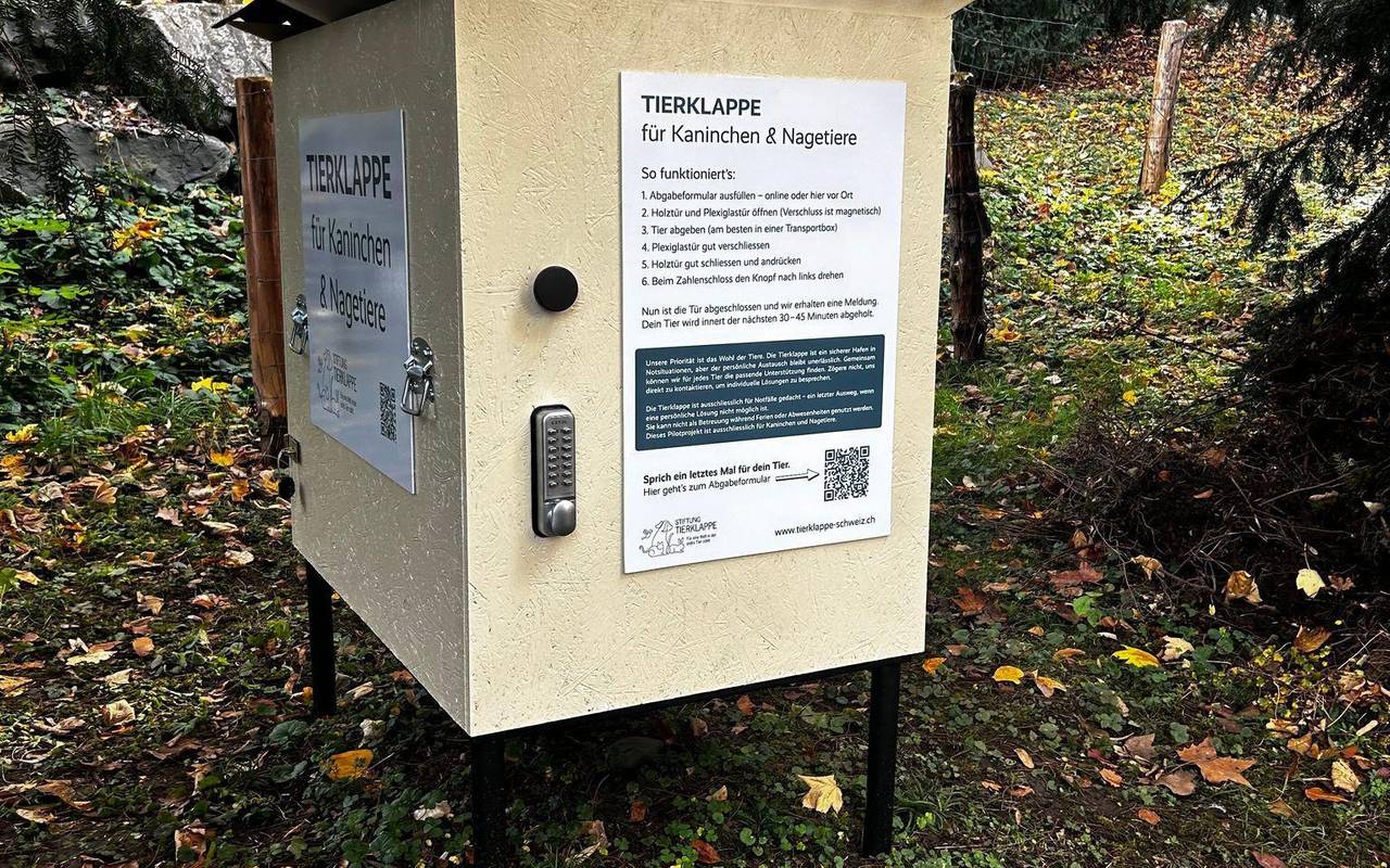 Erste Tierklappe in der Schweiz