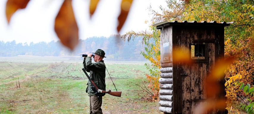 Prüfung zum Jagdschein: Anträge bis Mitte Februar