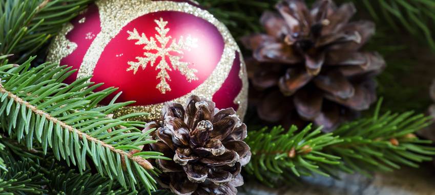 Benefizaktion auf Schloß Broich gegen Einsamkeit