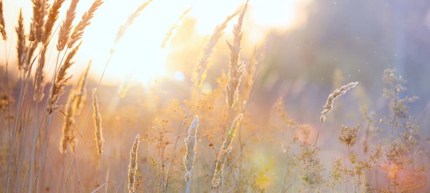 Tausende Unterschriften gegen Gewerbegebiete