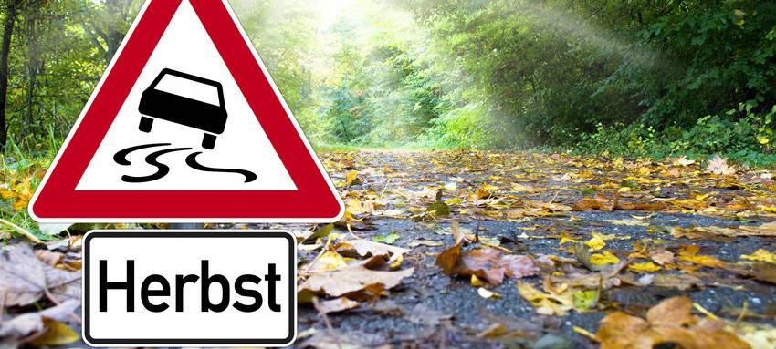 Viele Unfälle im Herbst