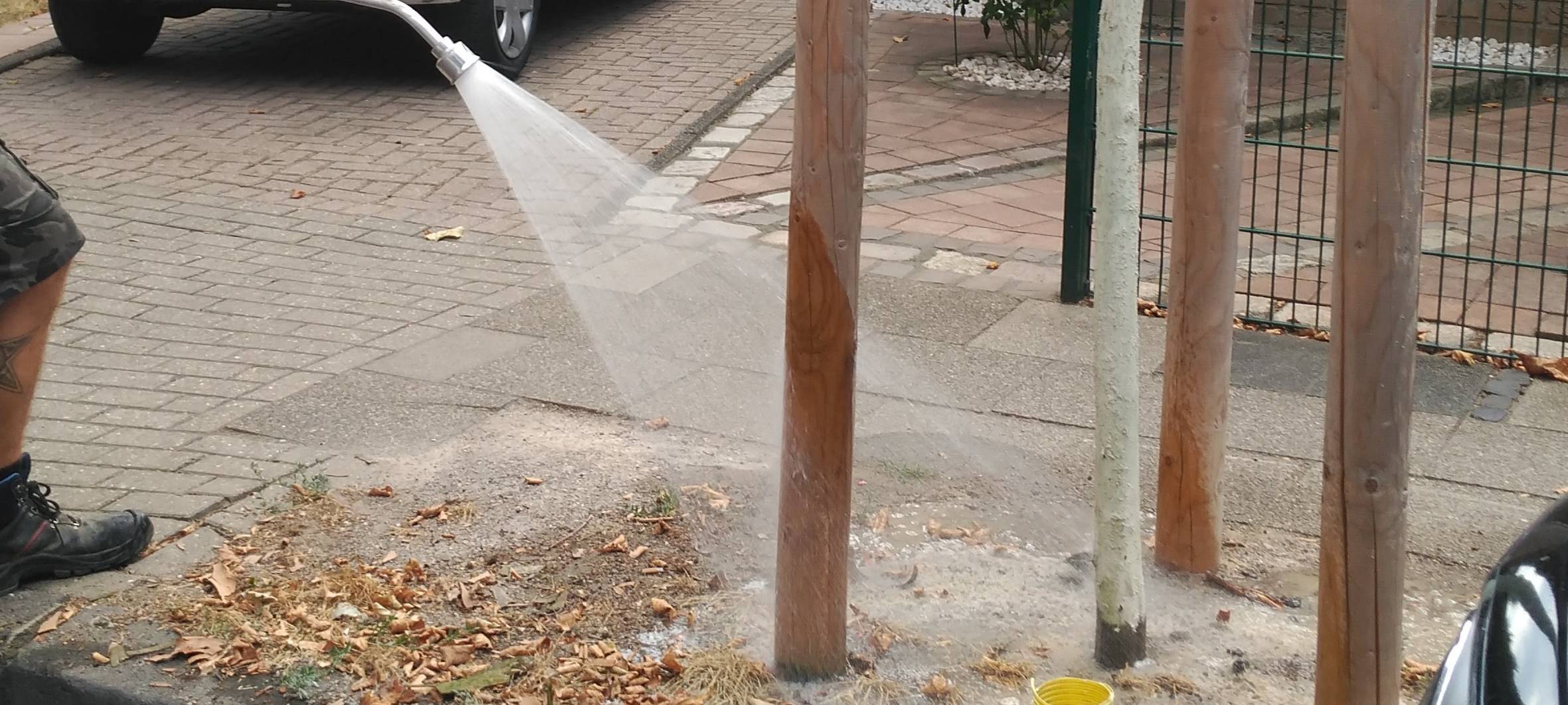 OGM gießt Bäume in OB;