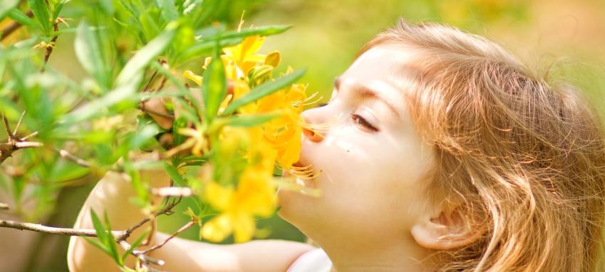 Lernwerkstatt Natur sucht weitere Spender