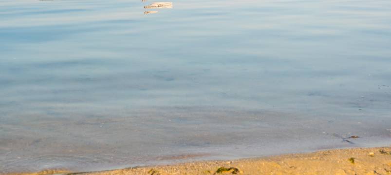 DLRG mit Appell an Badende