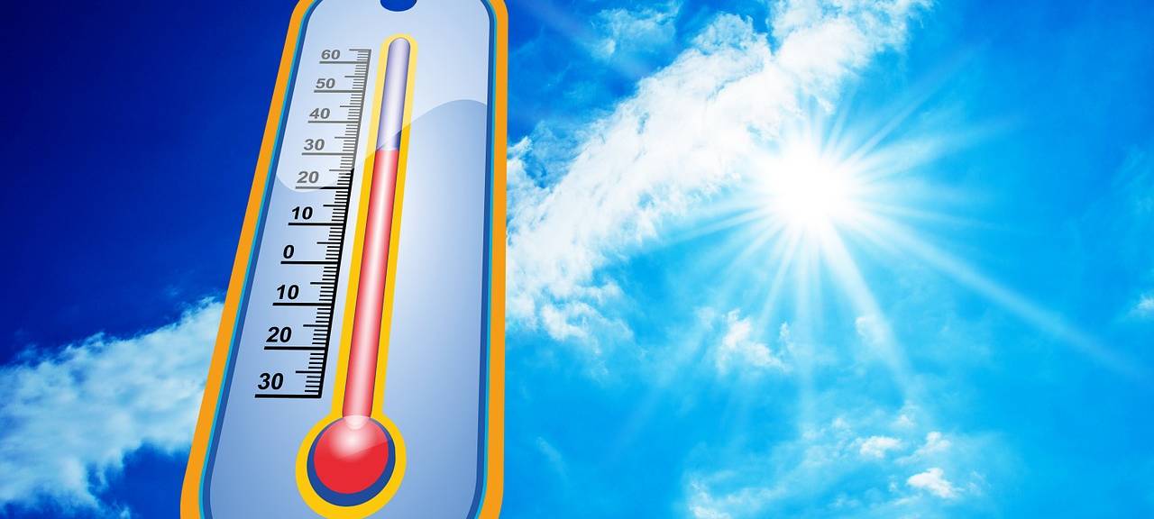 Prognose der wahrscheinlichsten Entwicklungen