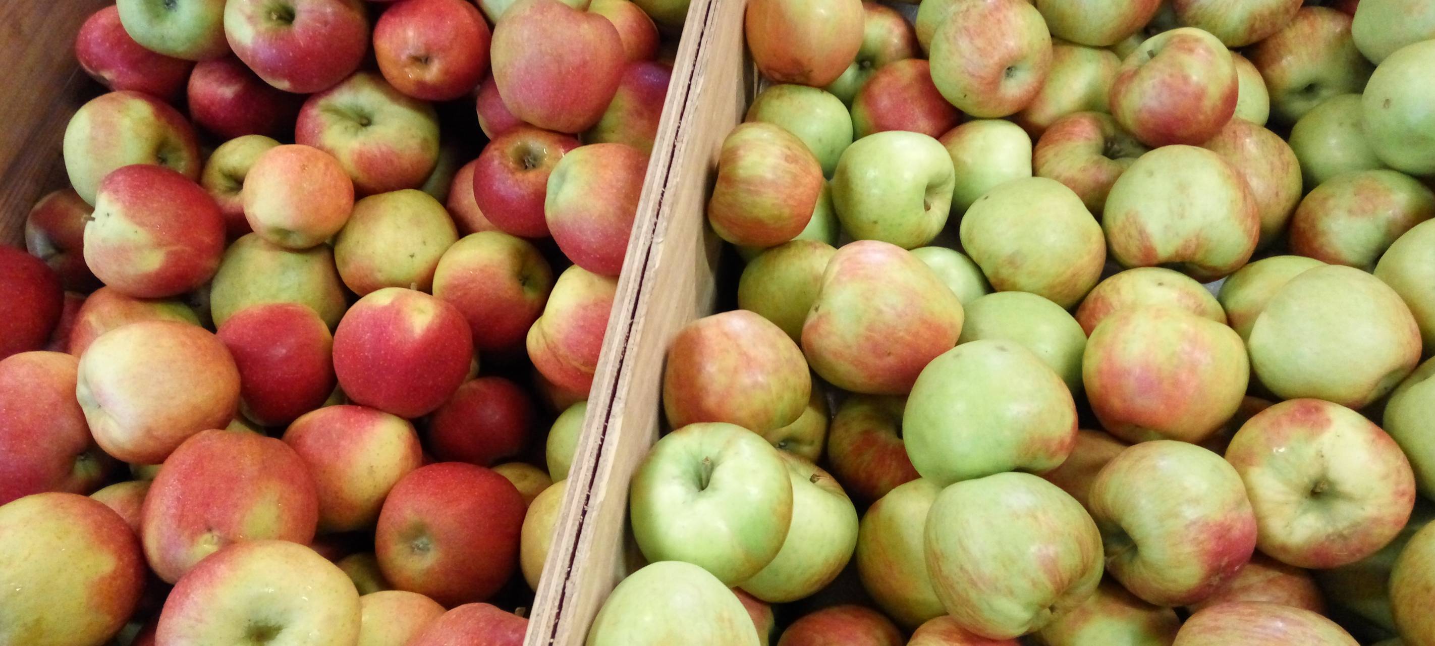 Neuer Wettbewerb für Hobbygärtner