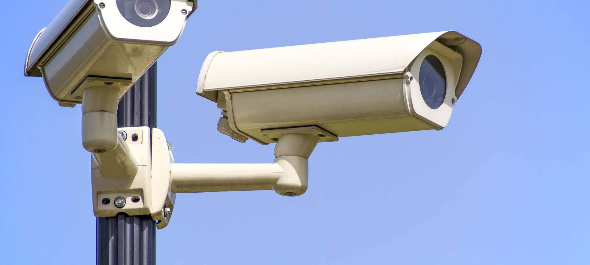 Rätselraten um gestohlenes Tier