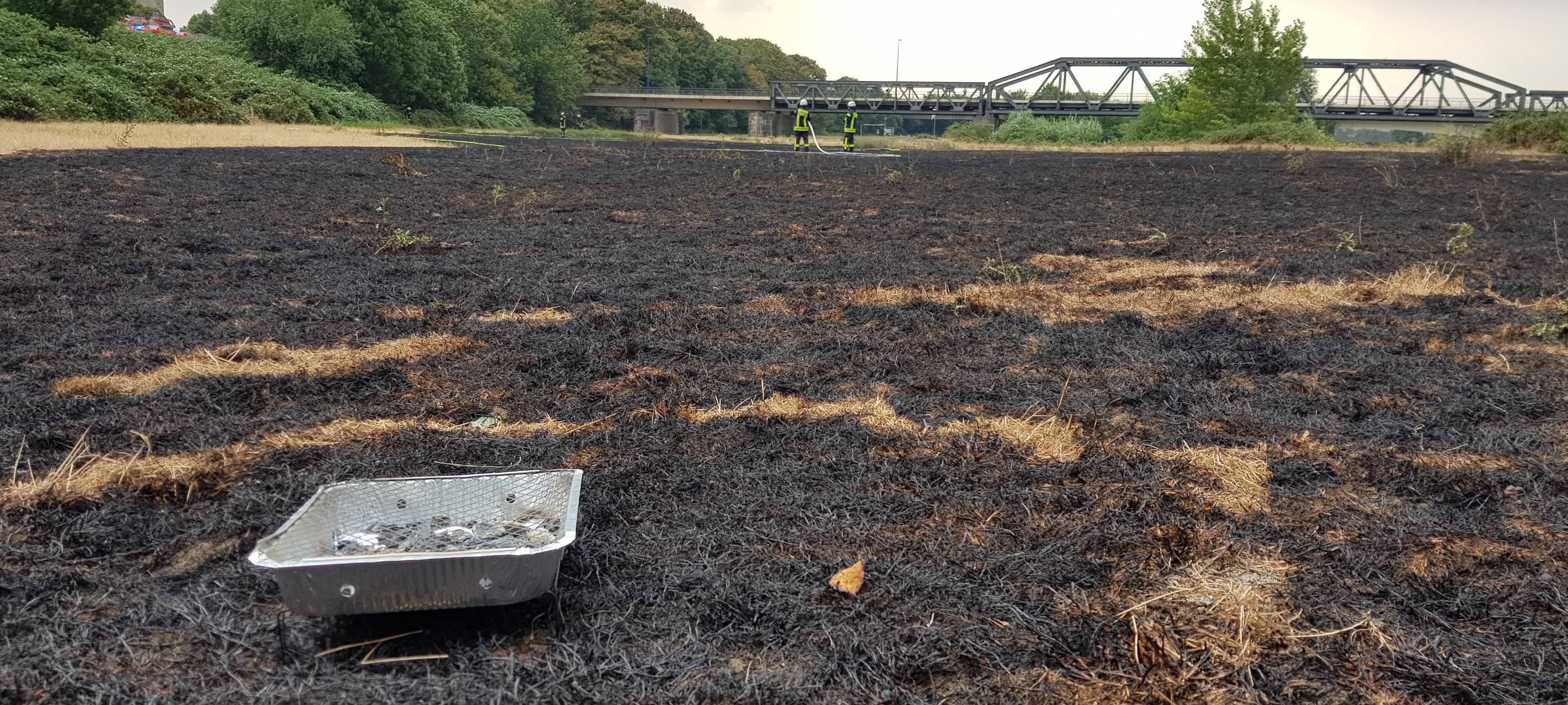 Hitzewelle: Warnung vor Wald- und Wiesenbränden