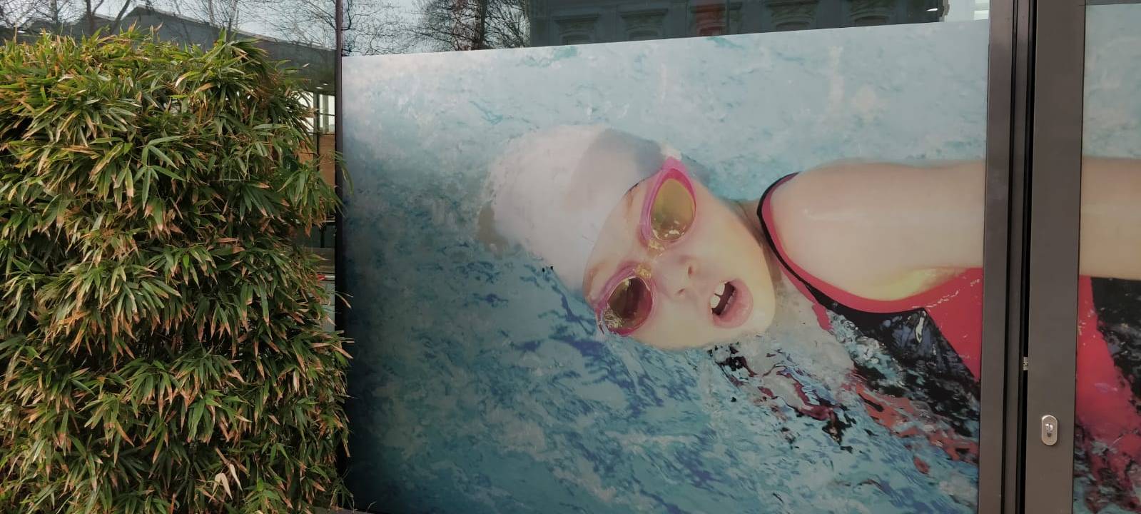 Der neue Sichtschutz am Hallenbad Süd