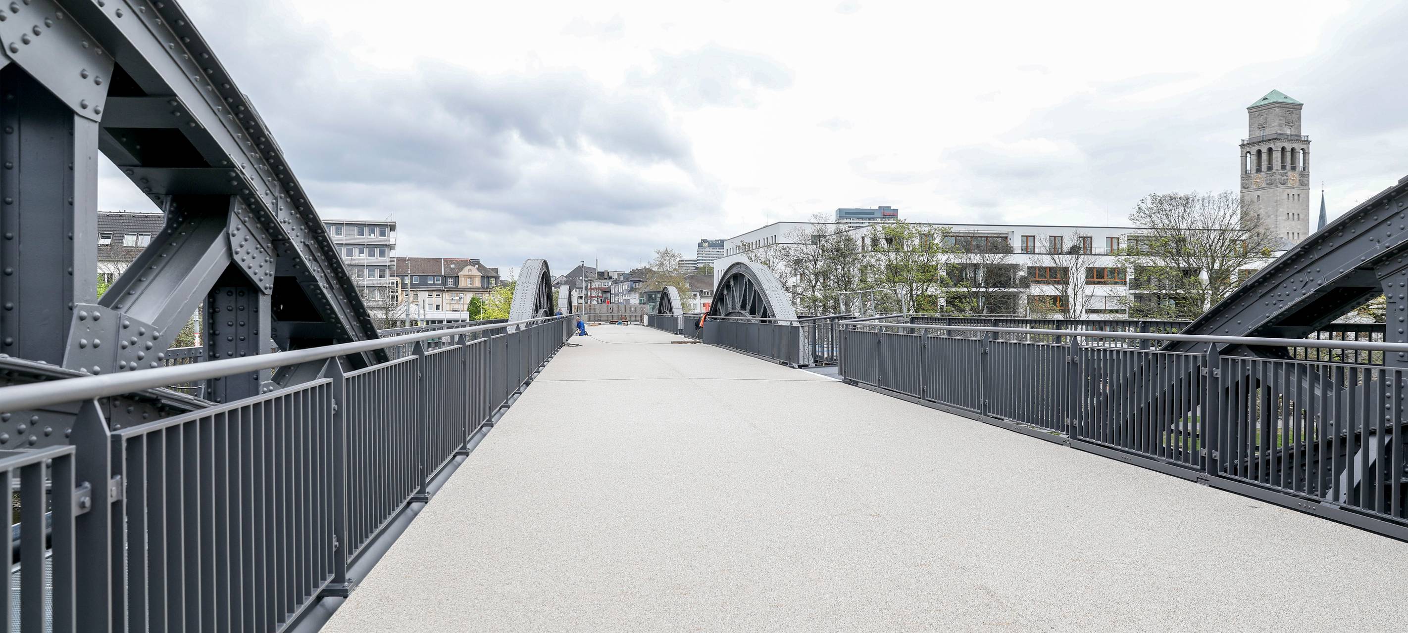 Baumfällungen sorgen für Aufregung in Speldorf
