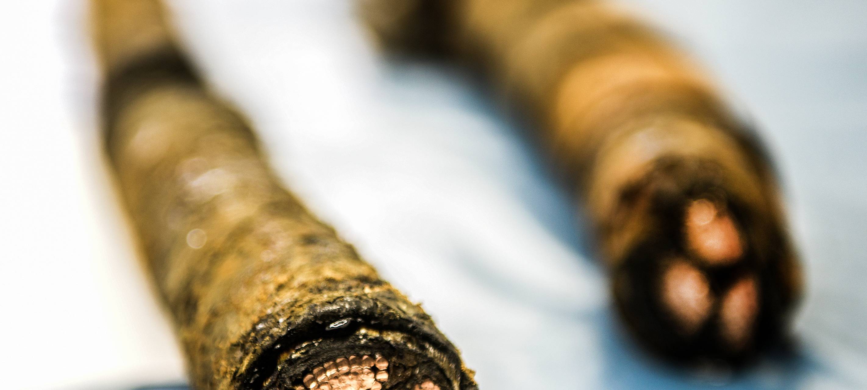 Speldorfer waren ohne Strom