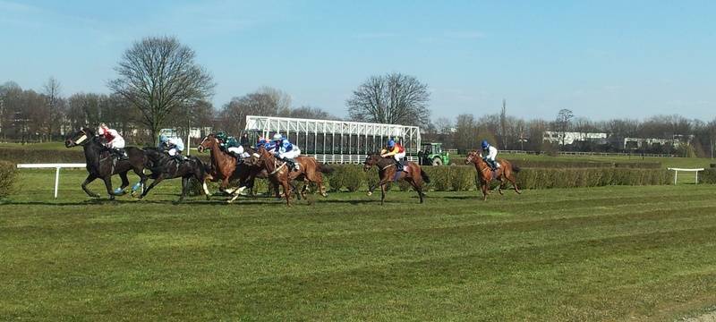 Stadtwette beim Renntag