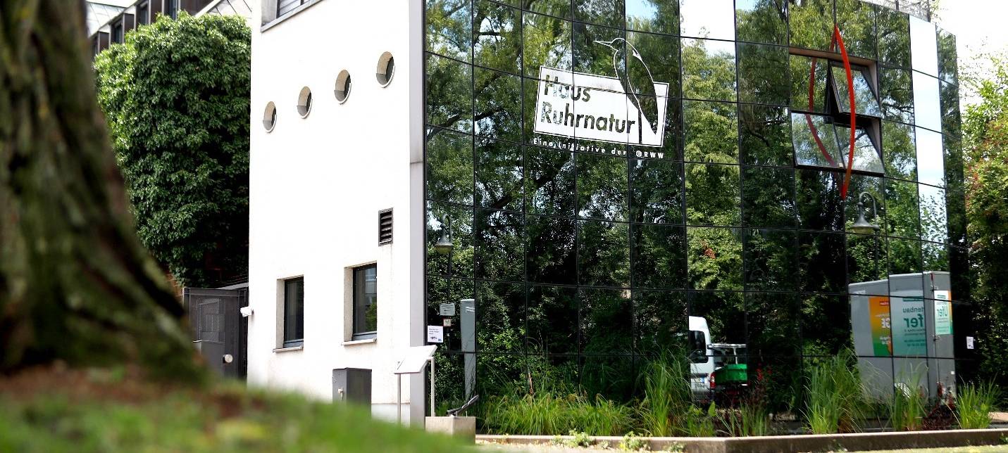 Sanierung nach Hochwasser abgeschlossen