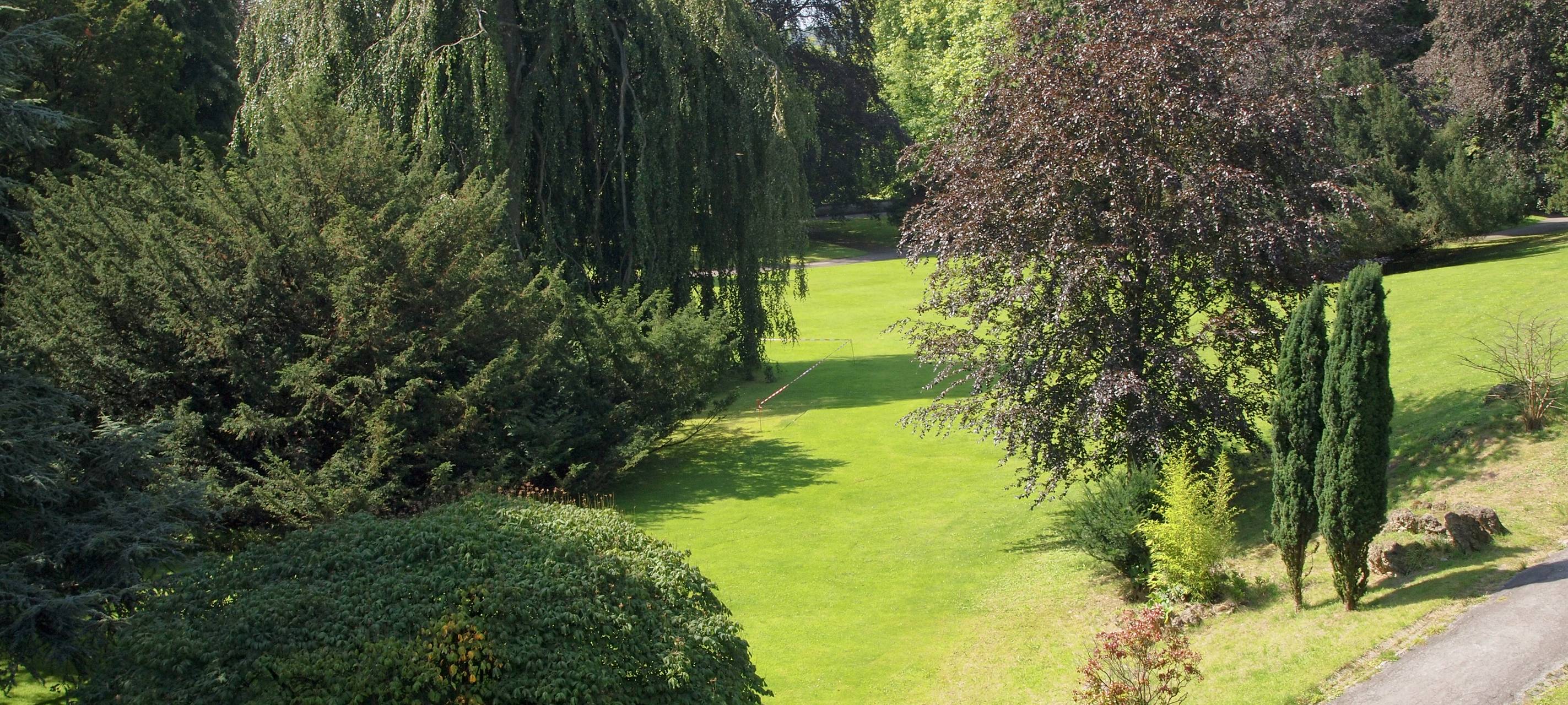 Einen naturnahen Garten anlegen: So klappt es