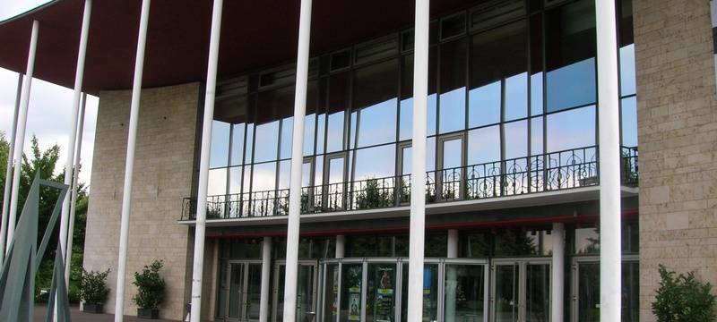 Wirbel um einen Flyer der AfD