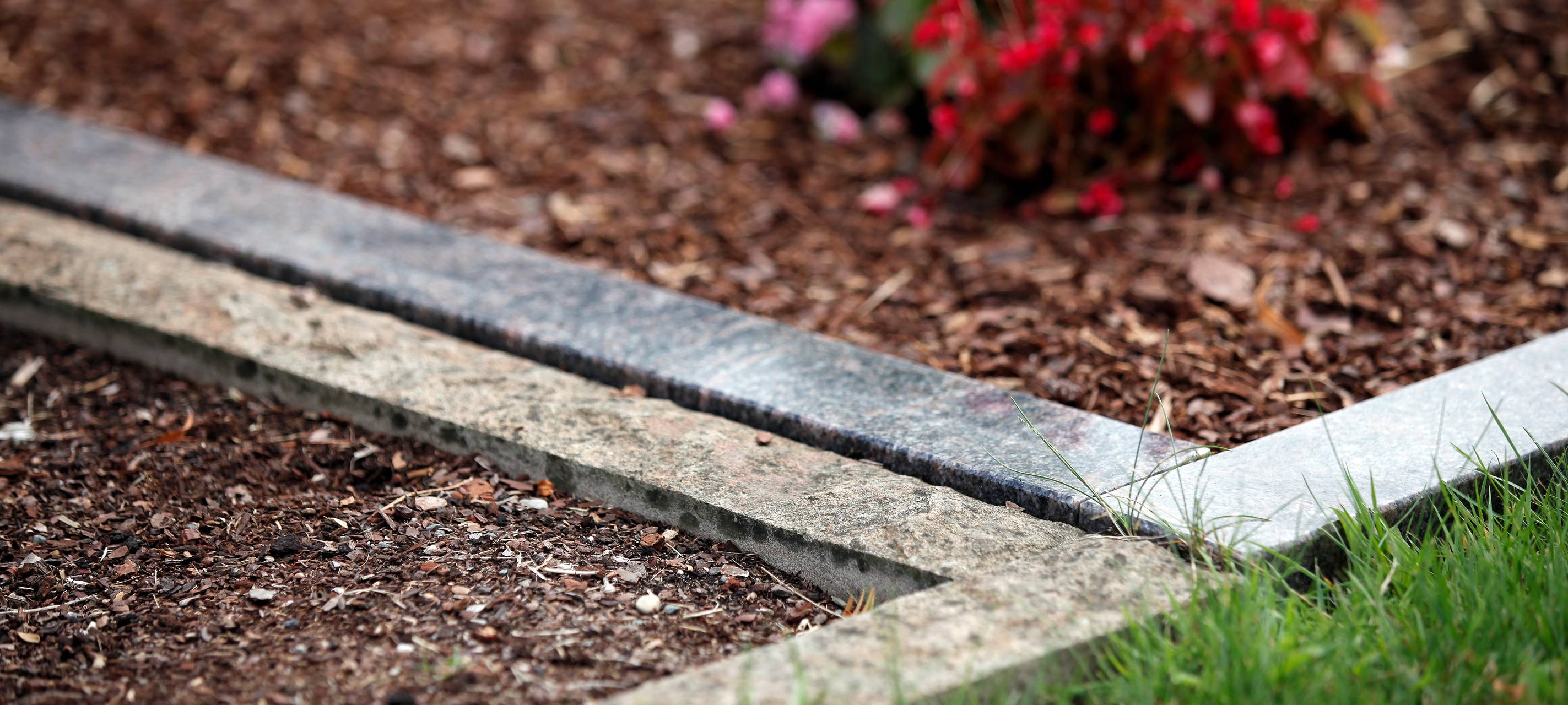 Rat soll Regeln lockern