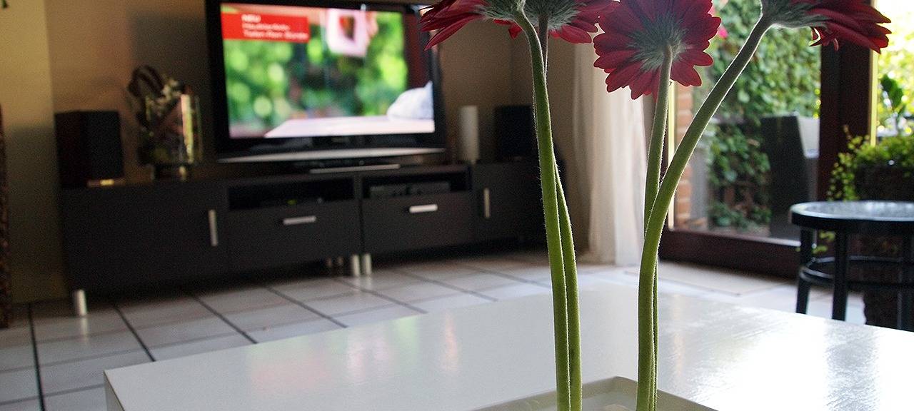 Eigentum rechnet sich