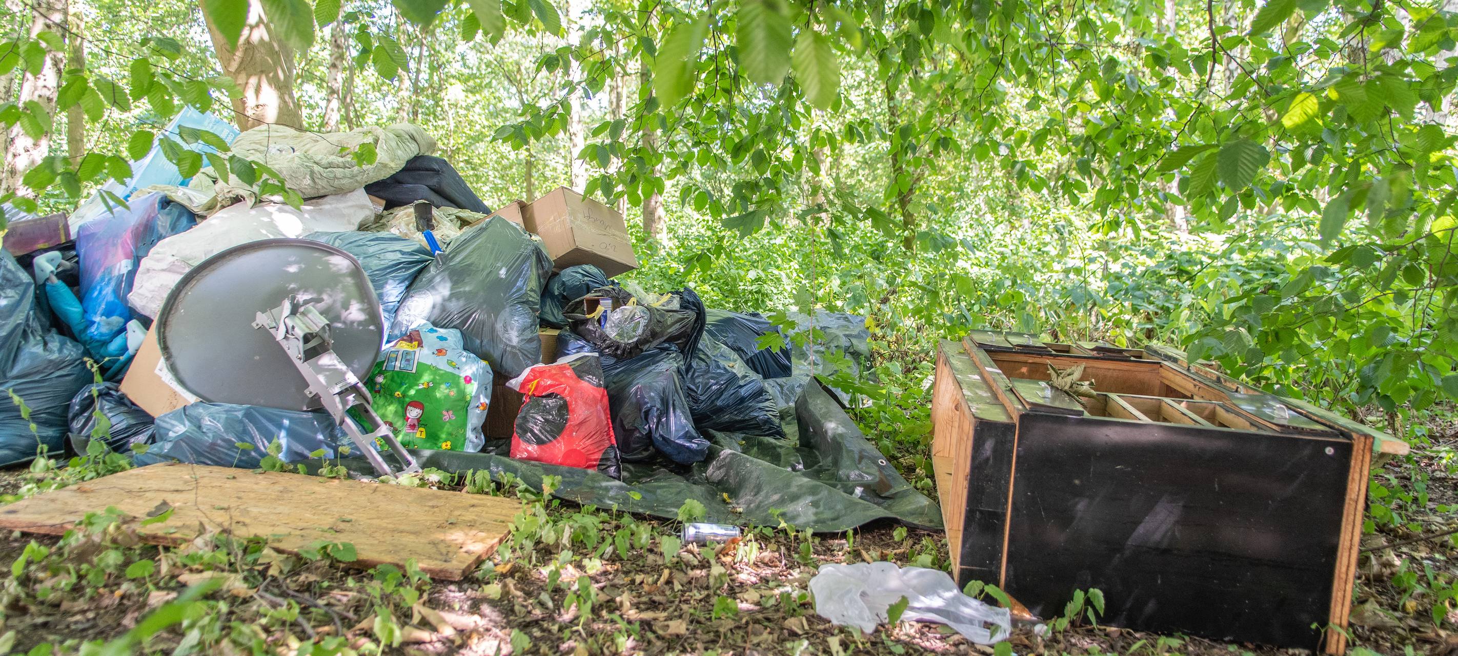 Neue Bußgelder - Illegale Müllentsorgung wird teurer