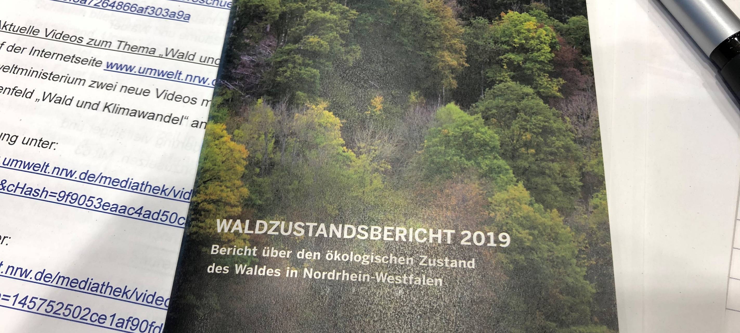 Der Wald in NRW leidet immer mehr