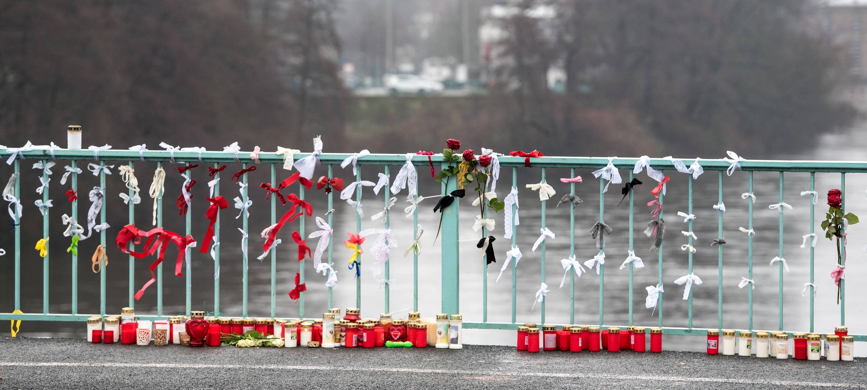 Hund von Schlossbrücke geworfen - Haftstrafe