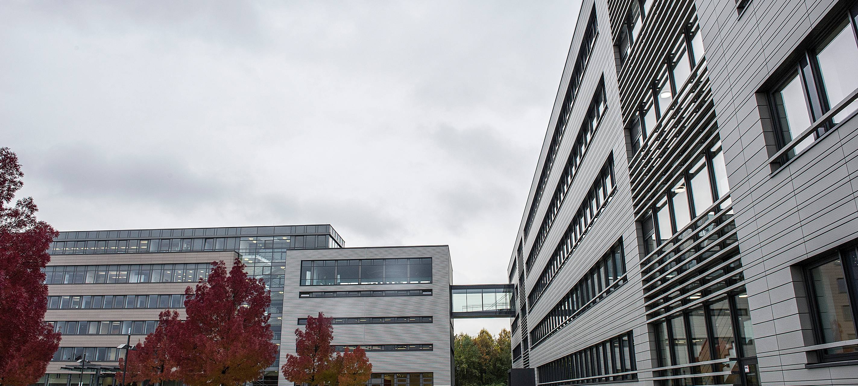 Kündigungen bei Aldi-Süd