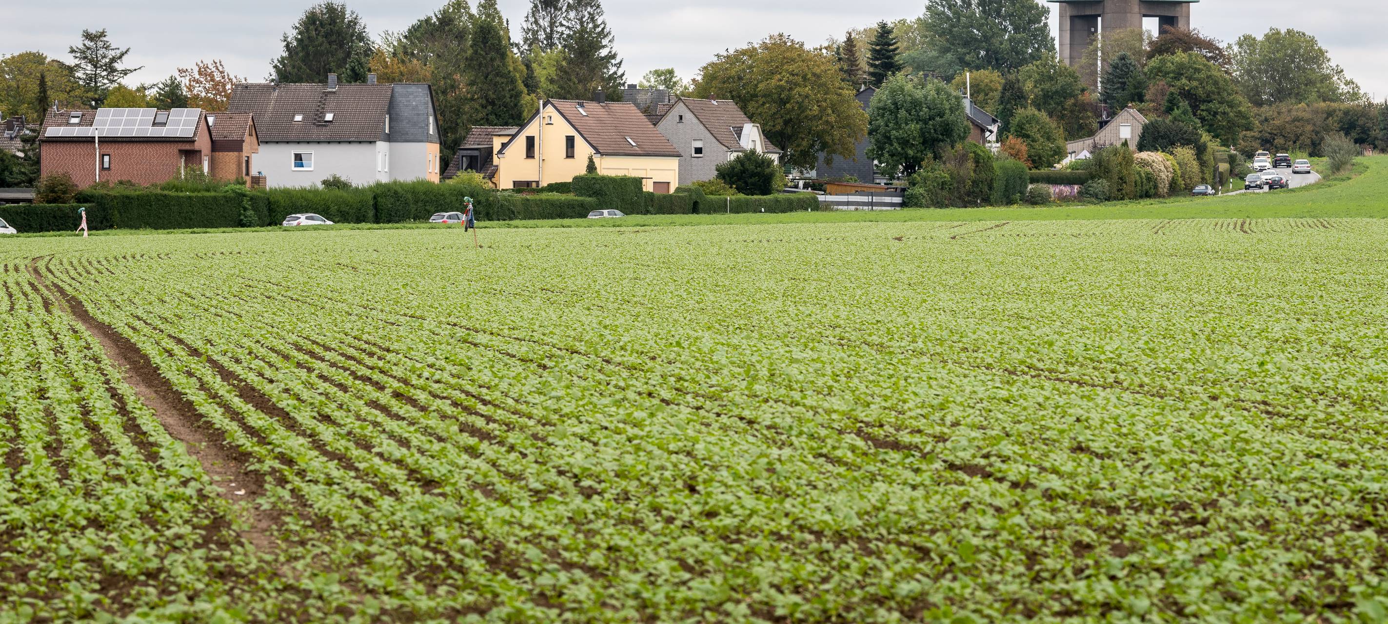 Protest gegen neue Wirtschaftsflächen