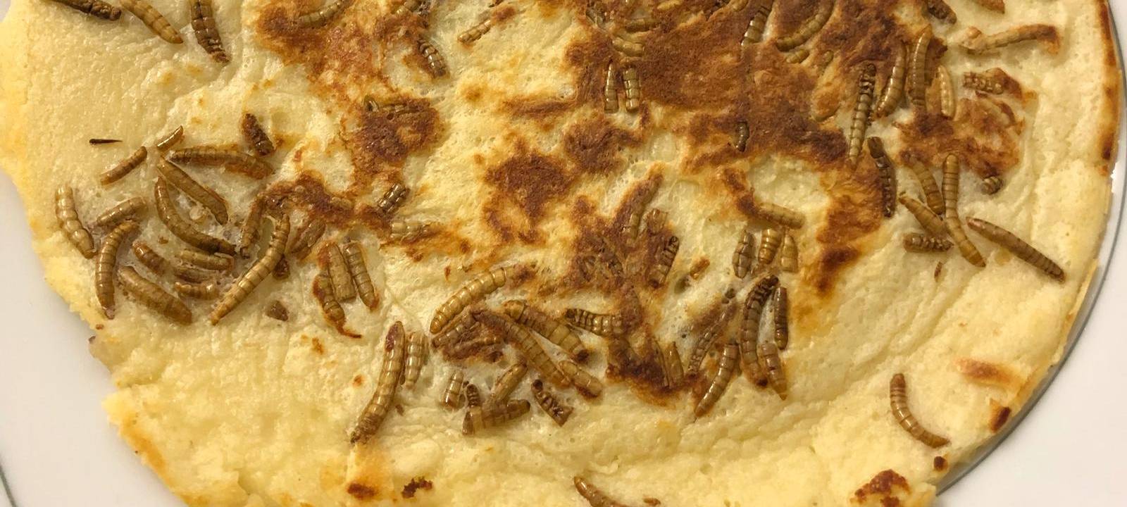Kochen mit Insekten