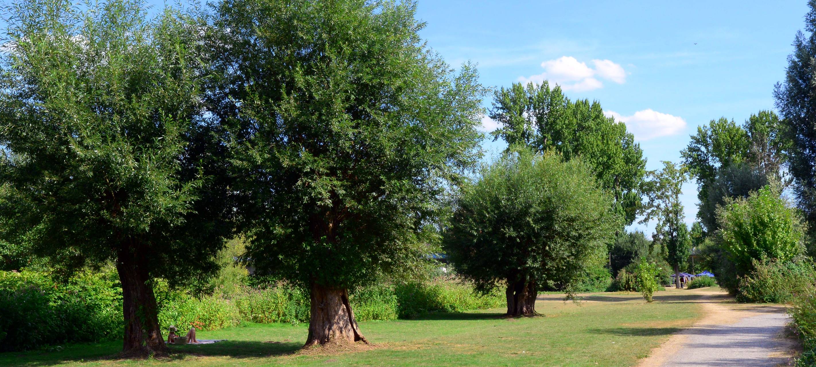 Auch künftig kein Baden in der Ruhr