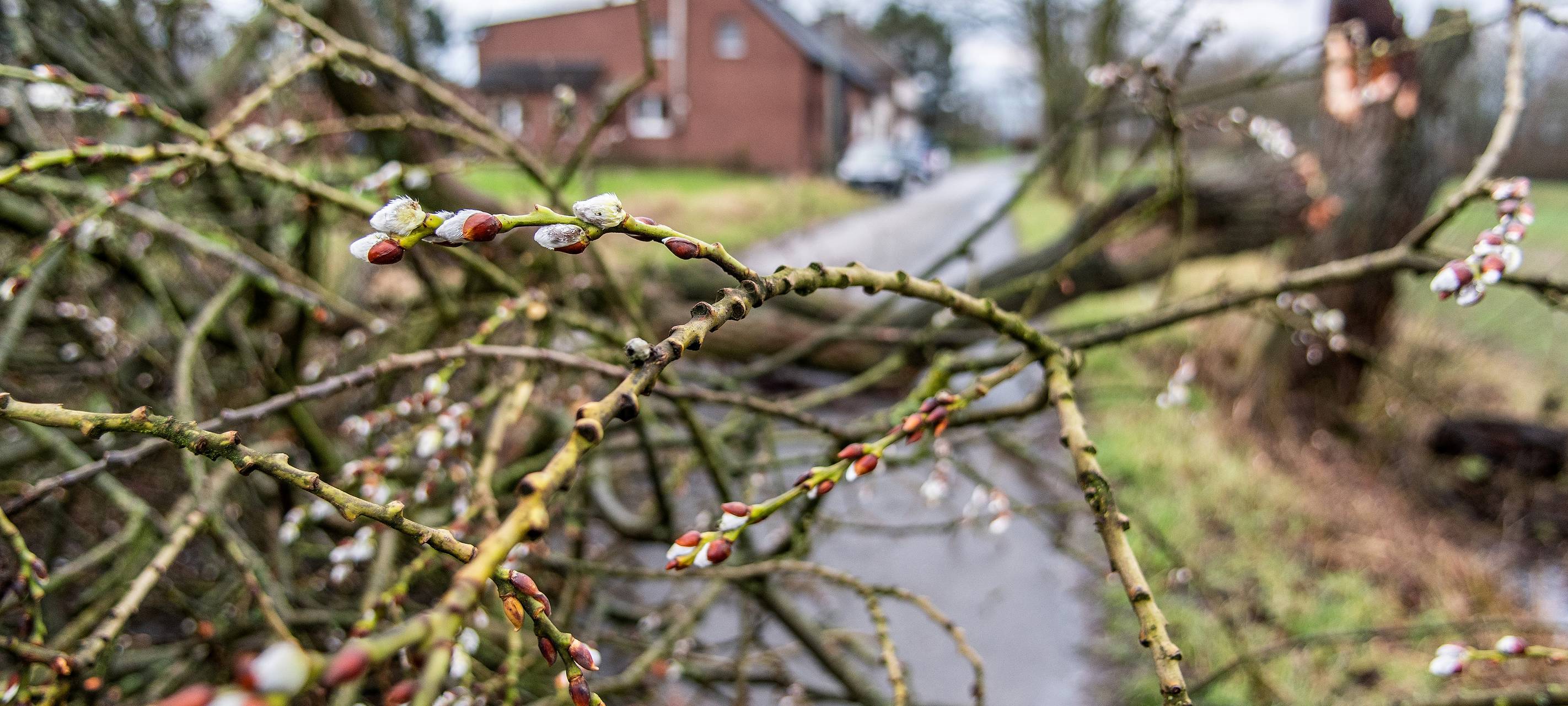 Erste Ruhrgebiets-Bilanz nach Sturm Sabine