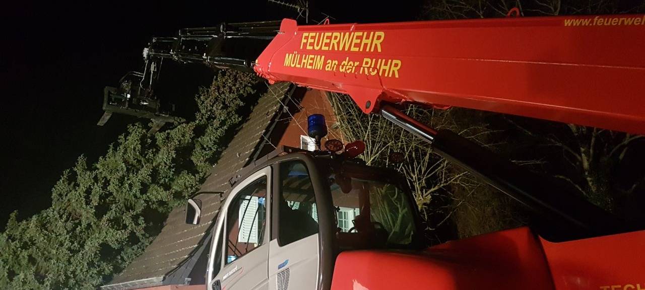 25 Meter hoher Baum kracht auf Auto