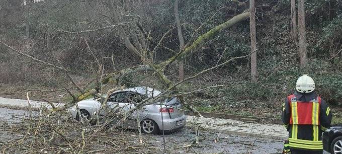 Twitter-Gewitter war ein Erfolg