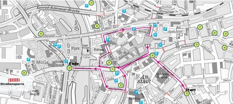 28 Wagen beim Rosenmontagszug