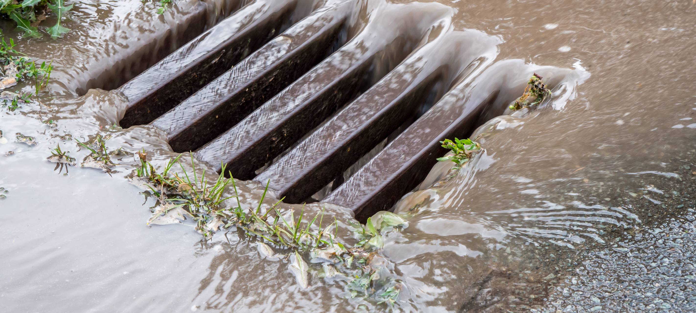 Gemischte Wetterbilanz für den Sommer