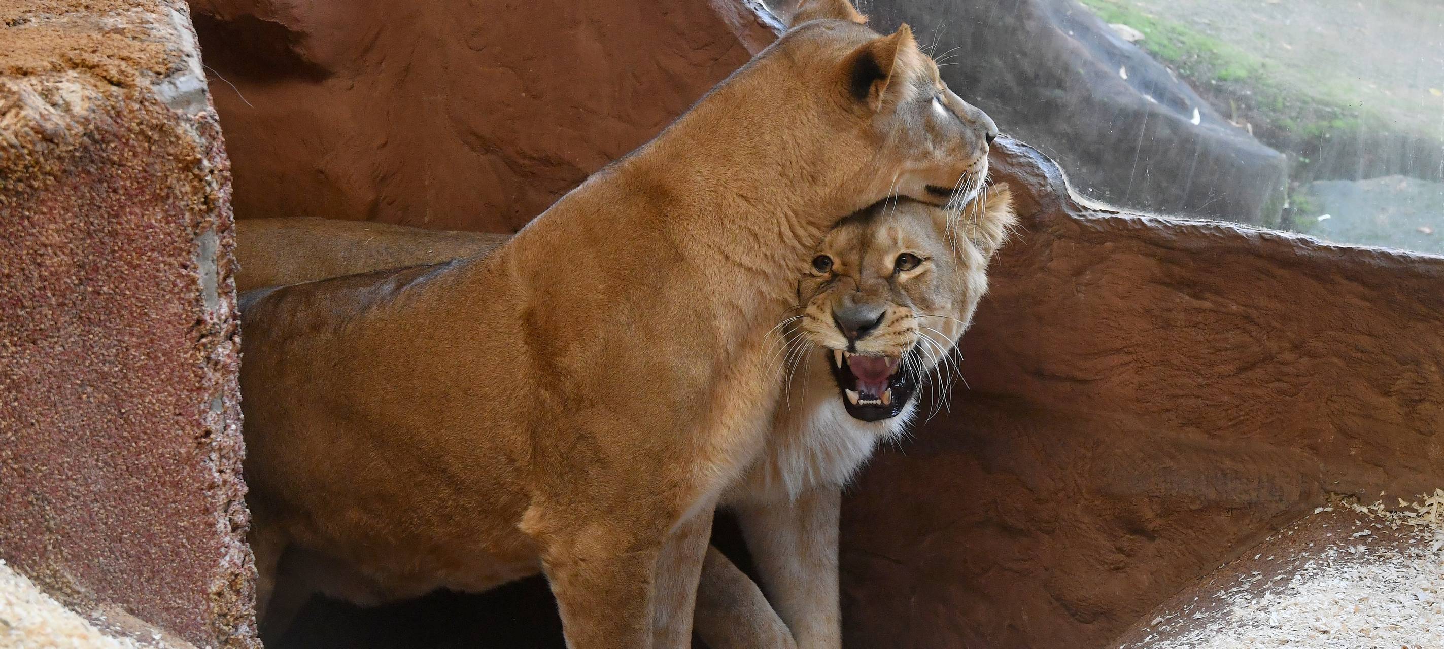 Ruhr.Topcard beliebt wie noch nie