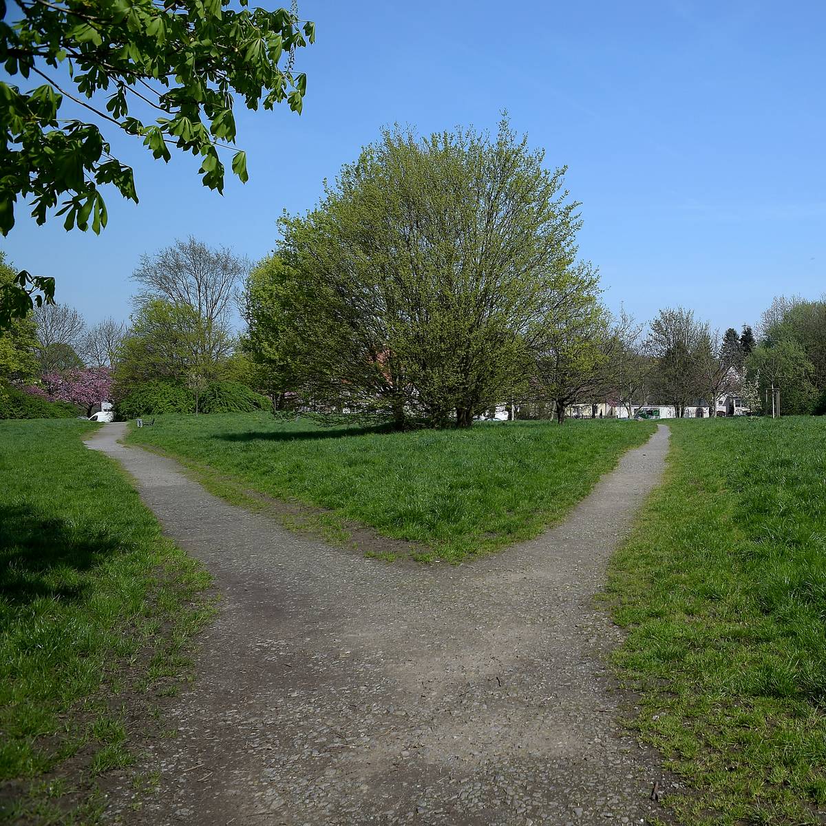 Mülheimer können auch öffentliche Grünflächen pflegen - Radio Mülheim