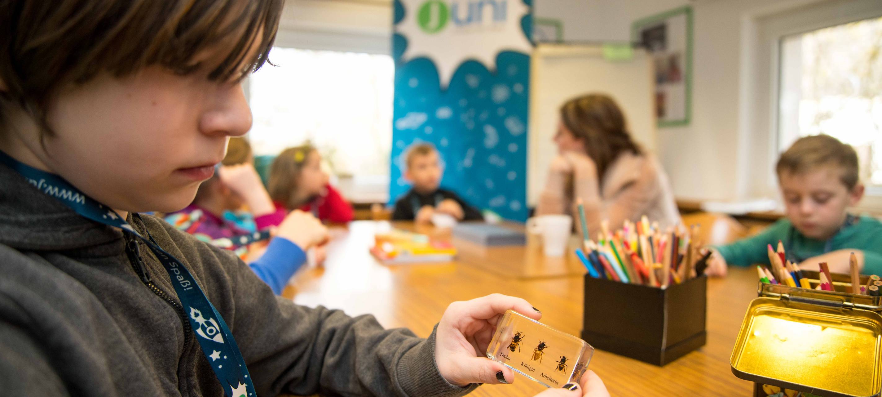 Junior-Uni unterbricht Semester