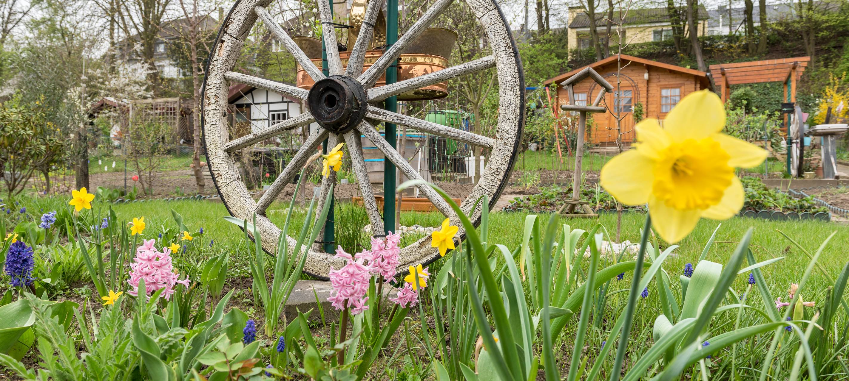 Kleingärten sind extrem gefragt