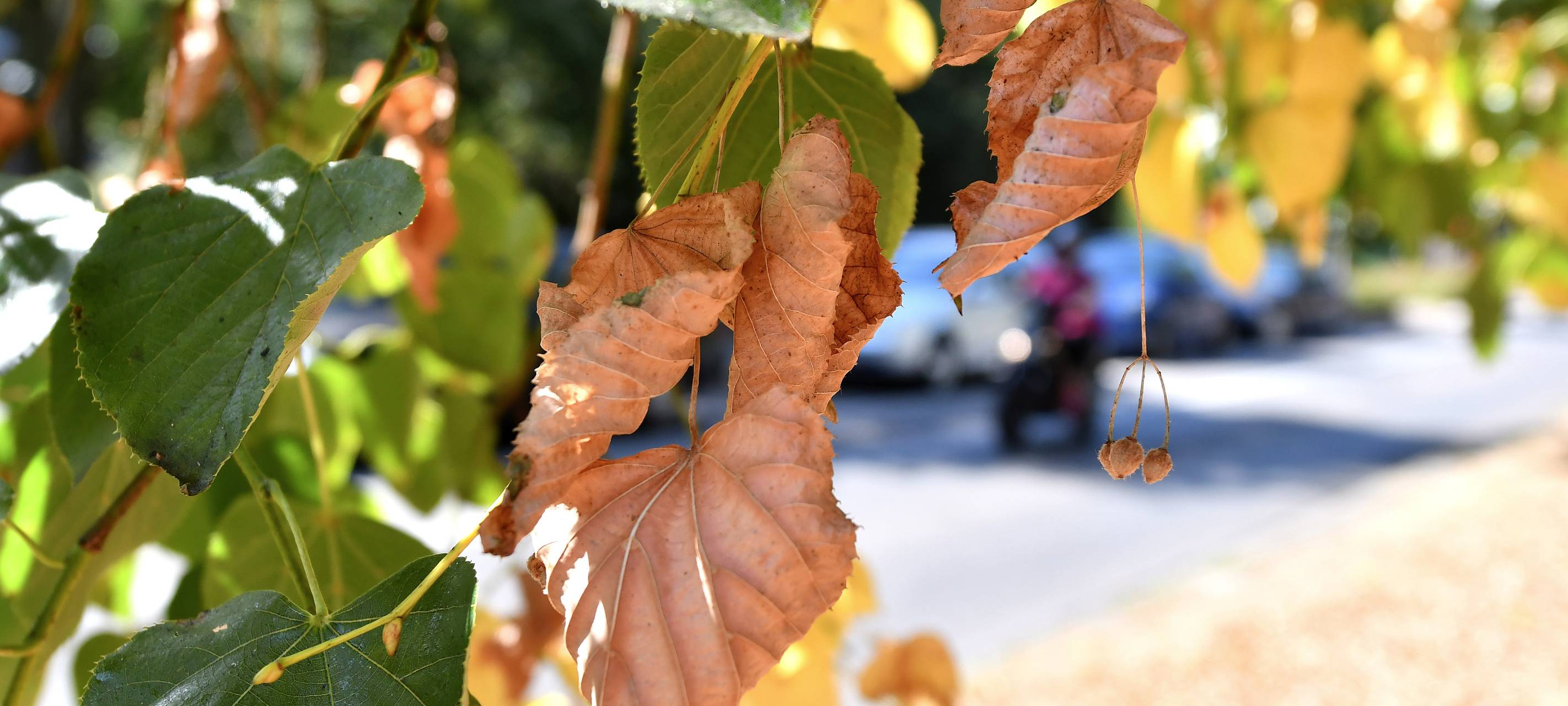 Trockener Frühling - Emschergenossenschaft zieht Bilanz