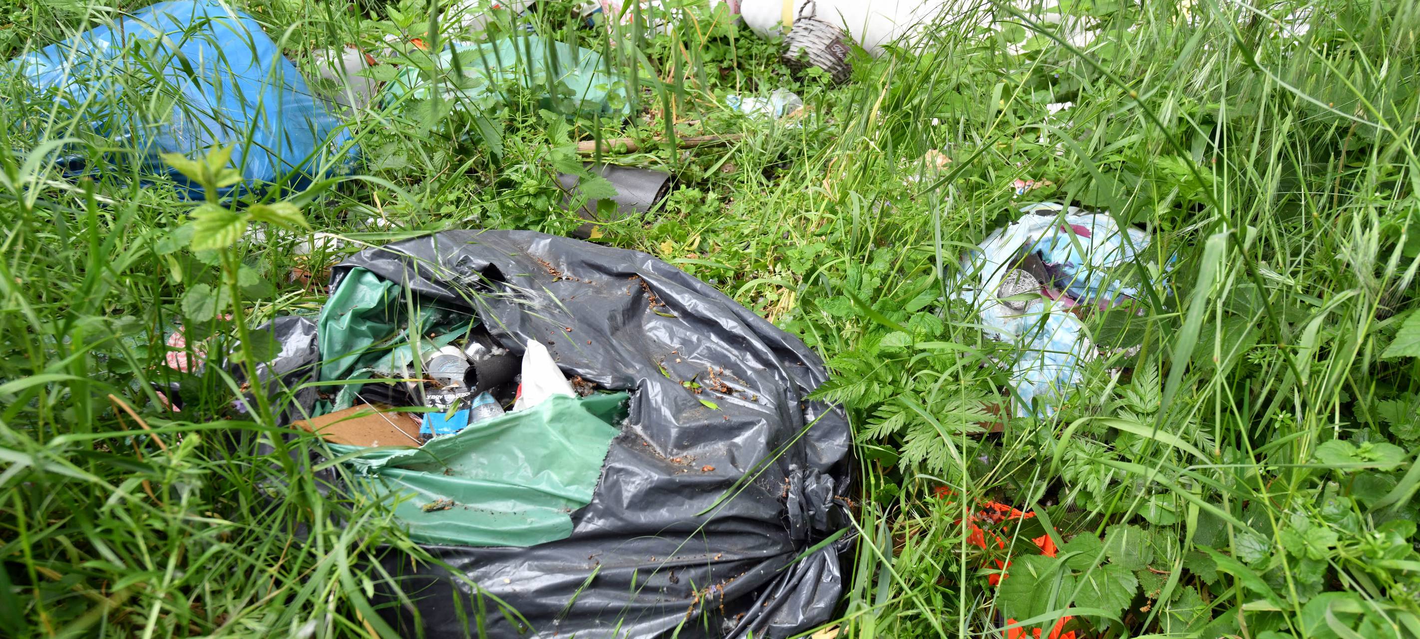 Tütenweise Müll im Naturschutzgebiet
