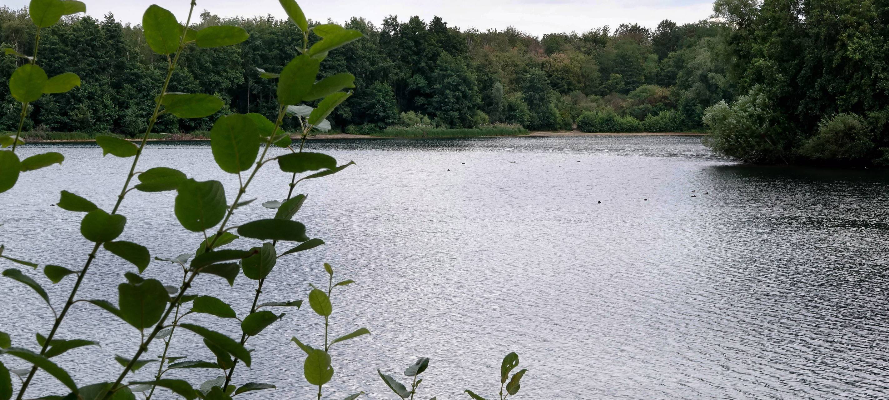 Kontrollen am Heidesee in Kirchhellen