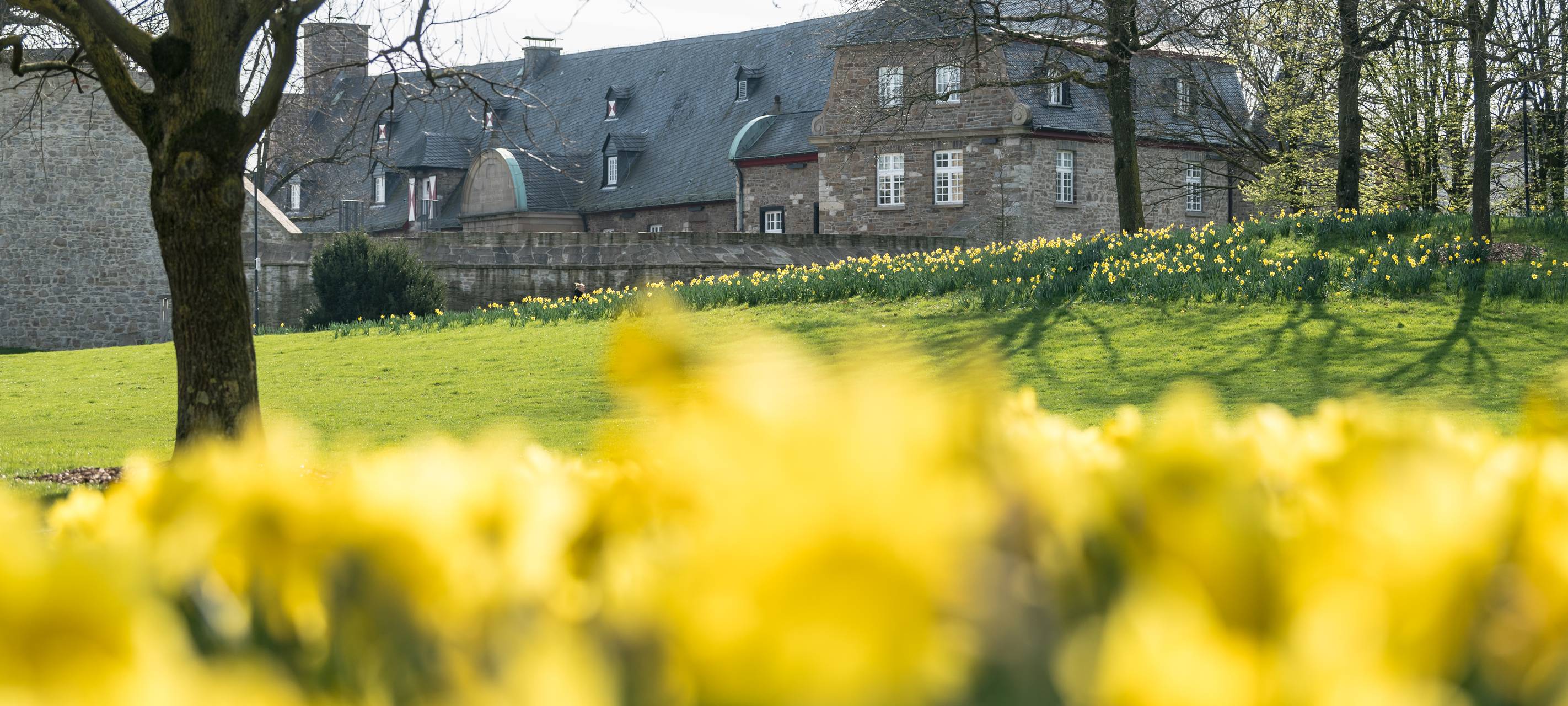 Trauungen werden wieder festlicher