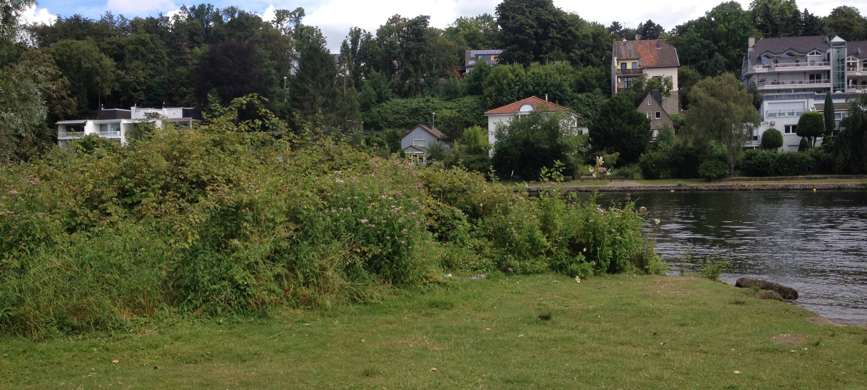 Müllberge am Ruhrstrand