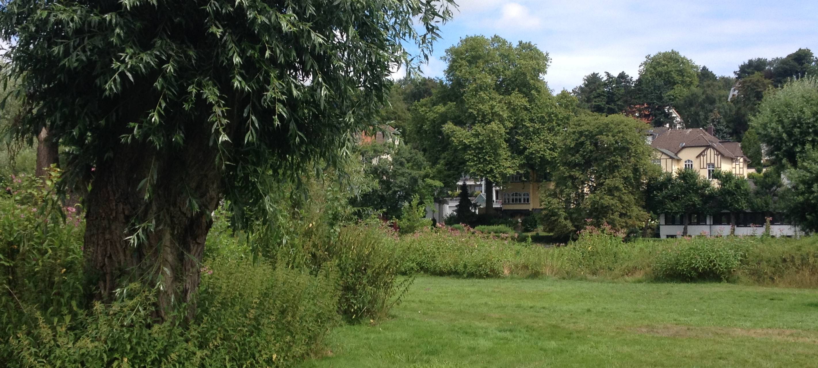 Kaputte Bäume in Saarner Auen müssen weg